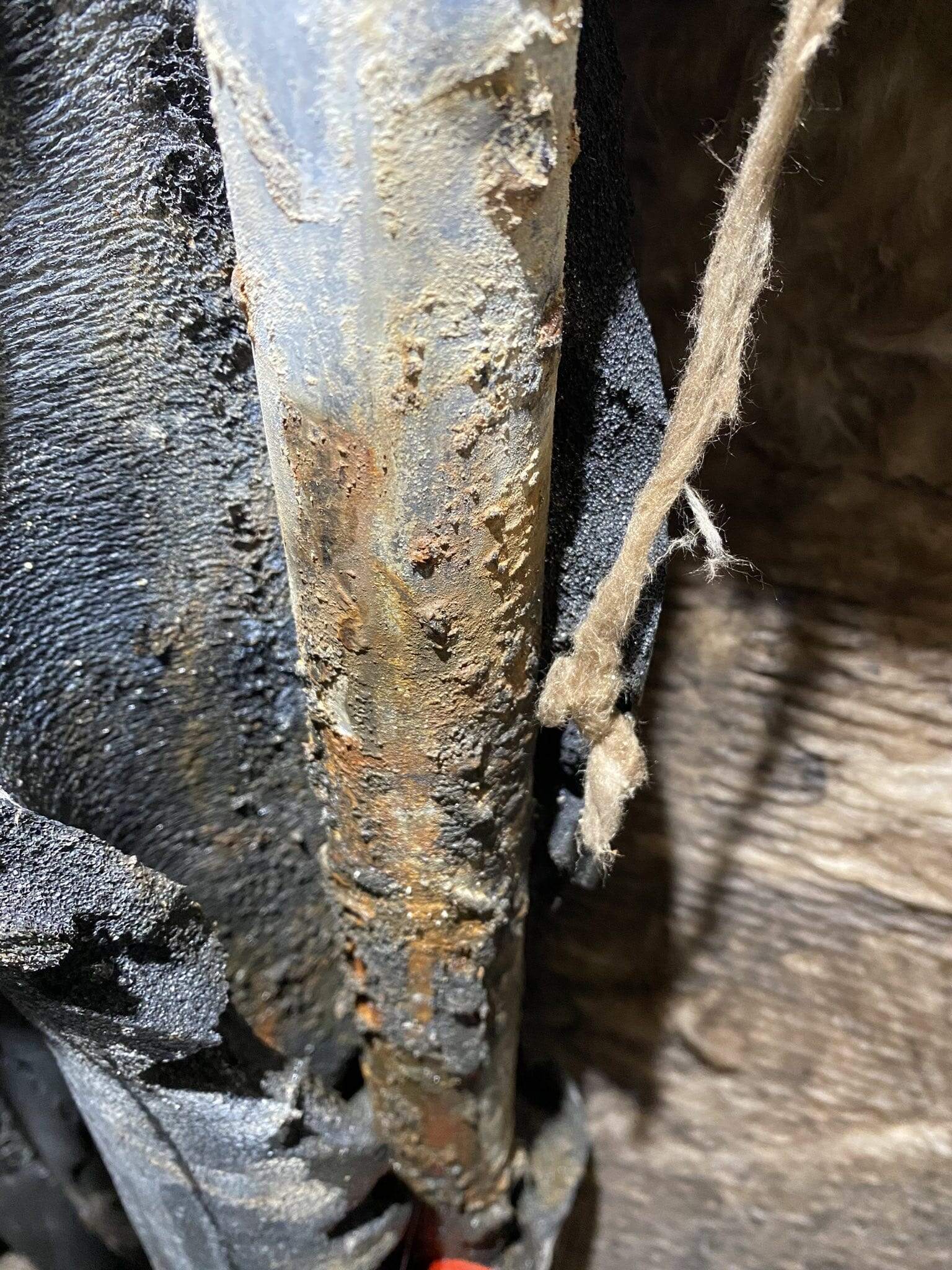 signal-2022-11-14-11-49-03-249-min (1).jpg