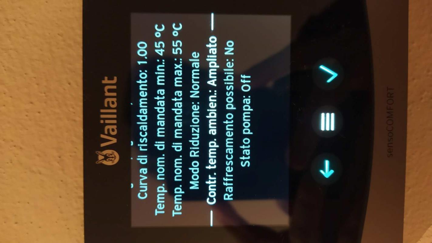 1729491492573.jpg