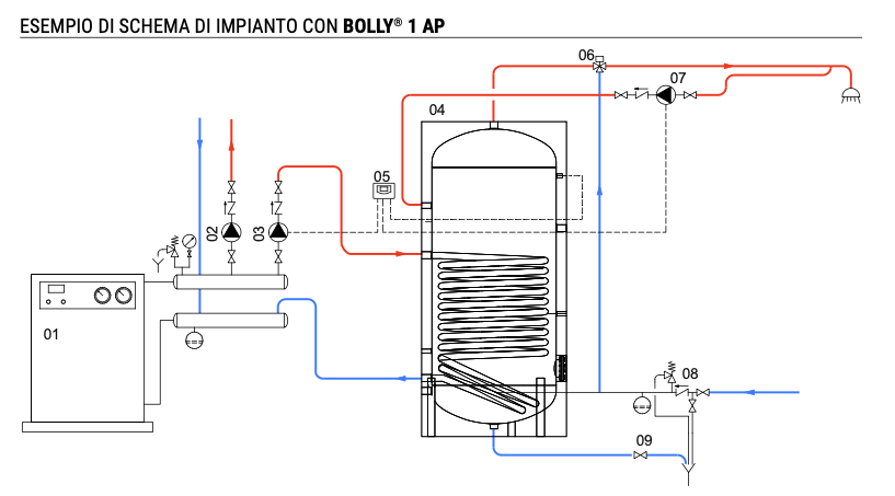 bolly.png