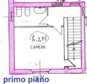 primo piano.jpg