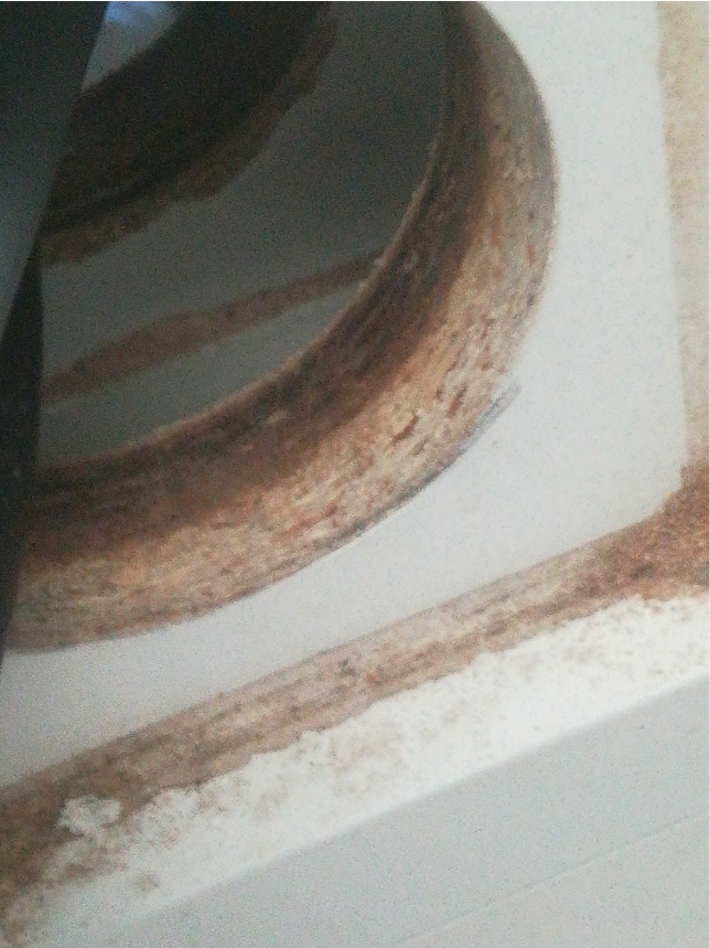 foto2.jpg