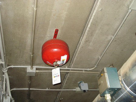 DSC04693.gif